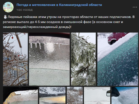 Калининградцы делятся в интернете фотографиями красивых морозных узоров