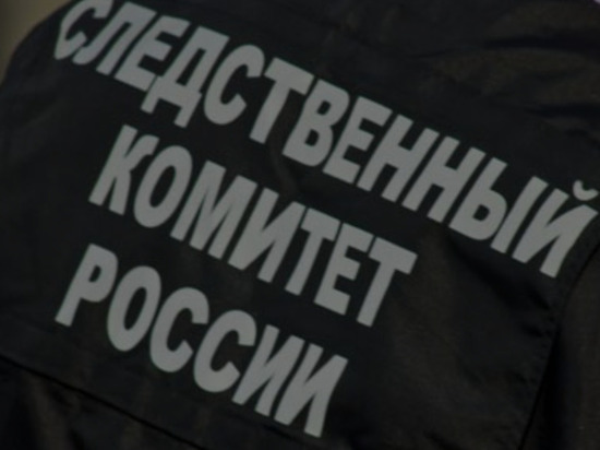 Грабители избили 10-летнюю россиянку из-за 30 рублей