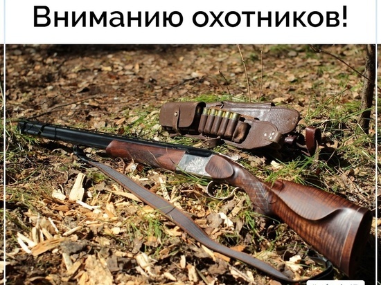 С 1 марта охотники в Кировской области будут подчиняться новым правилам охоты