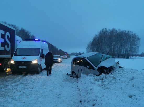 В Новосибирской области 62-летний водитель погиб в ДТП с грузовиком