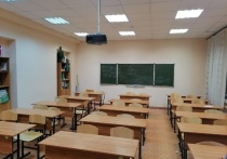 Общее мнение можно выразить одной фразой – пусть вдвое сократят себе отпуск те, кому пришла в голову эта мысль