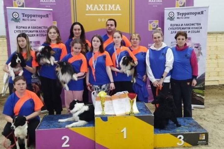 Kostroma dog breeders took 3rd place in the Cup of Russia in cynological sports