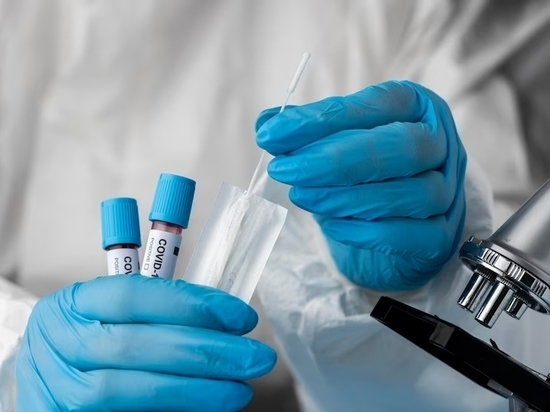 Красноярские ученые совместно с канадцами создали экспресс-тест на коронавирус
