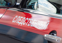 Стали известны подробности убийства 16-летней школьницы в микрорайоне Львовский Подольского городского округа 10 марта