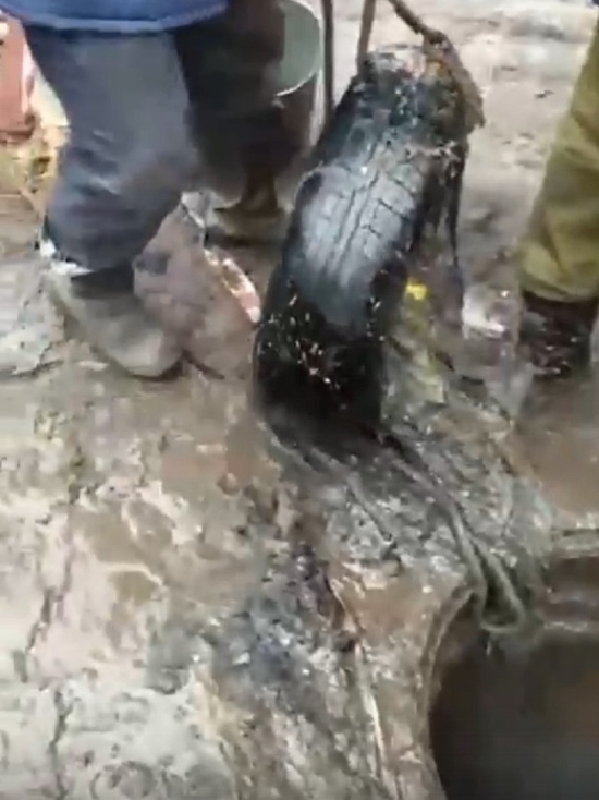 В Воронеже при устранении засора из канализационного люка достали автомобильную шину