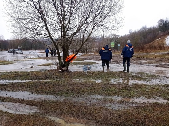 В Ельце спасли водителя, машину которого утащило в промоину разлившейся реки