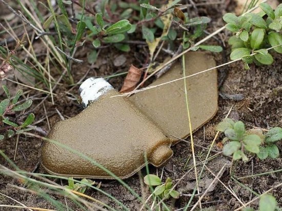 Мины-лепестки обнаружены в Петровском районе Донецка