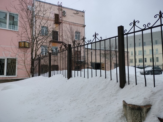 Более четырех тысяч человек вышли на уборку снега в Ленобласти