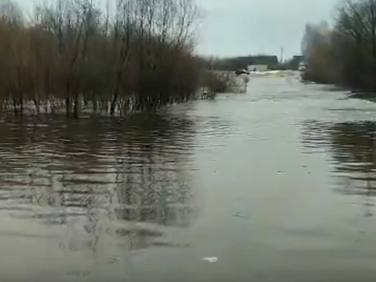 В Ряжске Рязанской области подтопило мост через Хупту