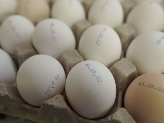Птицефабрика «Островная» привезет яйца и кур в отдаленные районы Южно-Сахалинска