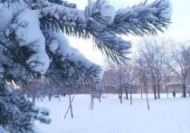 В понедельник в Петербурге будет сухо и наконец потеплеет, причина тому – промежуточный гребень антициклона, объяснили синоптики.