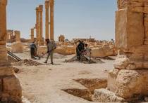 Реставраторы из Петербурга активно занимаются восстановлением памятников Пальмиры в Сирии. В апреле планируют представить проект реставрации Триумфальной арки.