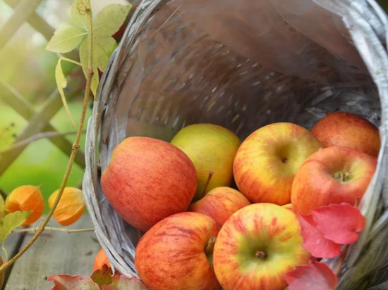 Какие болезни можно предотвратить, если регулярно есть яблоки