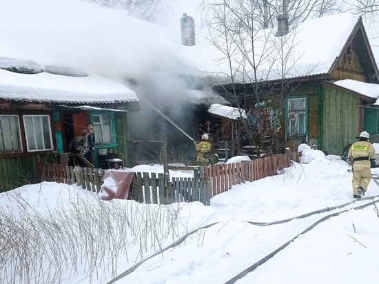 Двух человек и собаку вывели пожарные Карелии из горящего дома