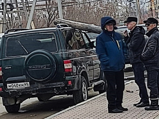 Столб упал на автомобиль чиновника на Сахалине
