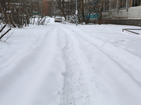 В Великом Новгороде 11 и 12 марта выпало больше половины месячной нормы осадков