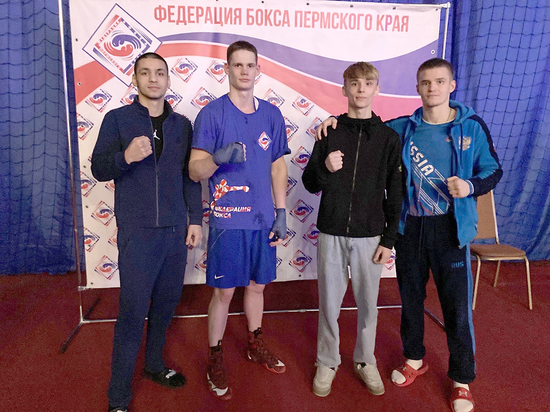 В Перми завершился чемпионат Приволжского федерального округа по боксу
