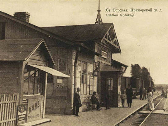 Петербуржцы собирают подписи ради спасения деревянного вокзала Горской