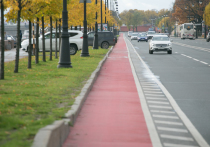 В Калининградской области теперь, чтобы перейти пешеходный переход на велодорожке, необходимо нажать кнопку для пешеходов