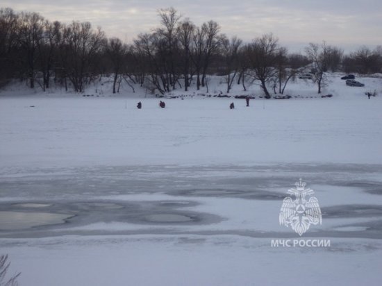 Спасатели Курской области информируют о колебании уровня воды на реках от 2 до 90 см