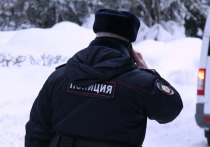 Полицейские Раменского района Подмосковья проводят проверку по факту загадочной смерти 23-летней гражданки Украины