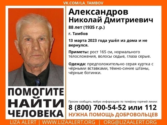 В Тамбове разыскивают пропавшего 88-летнего пенсионера
