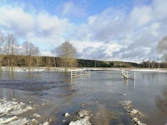 В Ржаксинском районе затопило низководный мост