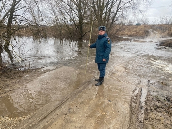 В Орловской области к 12 марта затопило 13 мостов