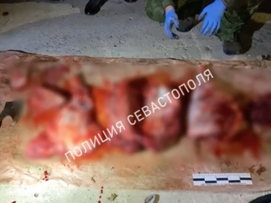 Два браконьера застрелили дикого кабана в севастопольском заказнике