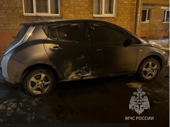 Электромобиль Nissan Leaf сгорел в Иркутске