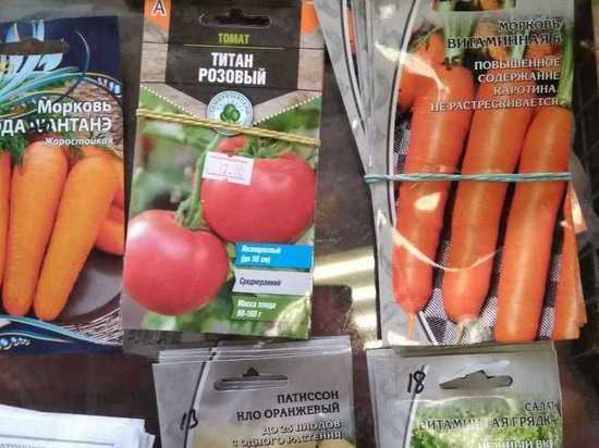 В Курске интернет-магазины торговали не включенными в Госреестр семенами овощей