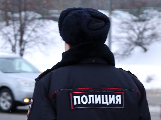 15-летняя девочка выстрелила в московской школе в одноклассника
