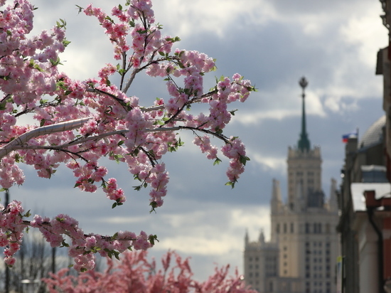 Как подготовить организм к весне рассказал эндокринолог из Подмосковья