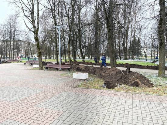Жителям Сольцов предложили пройти онлайн-опрос о развитии Ильинского парка