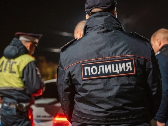 В Тверской области полицейские узнали о краже быстрее потерпевшего