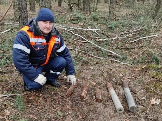 В двух районах Курской области 14 марта нашли шесть артснарядов времен ВОВ