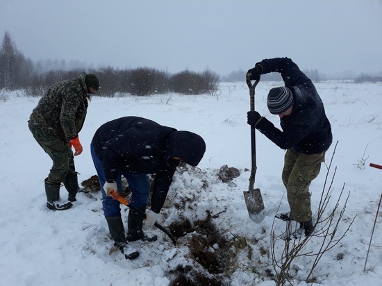 Поисковики нашли в Тверской области кость погибшего солдата