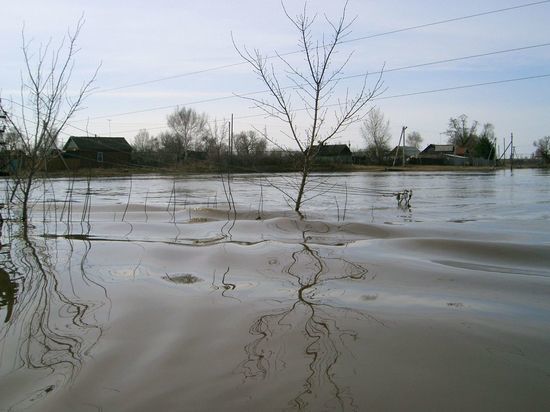 В Петровском районе паводок начал спадать