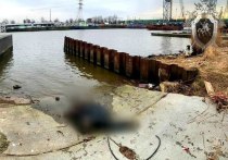 В Калининграде около Музея Мирового океана из Преголи извлекли тело, как выяснилось позднее, 21-летнего студента одного из региональных университетов