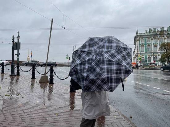 Дождь и +6 градусов: какая погода наступит в Петербурге 15 марта