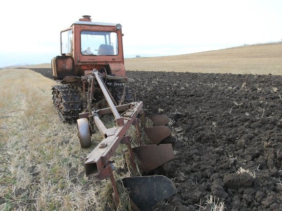 В Дагестане начались весенне-полевые работы