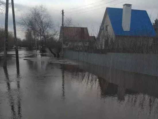 В Тамбове из-за паводка организовали дежурство спасателей в парке «Дружба» и в Бокино