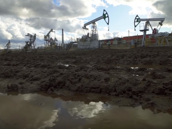 Reuters: Индия не присоединялась к потолку цен на нефть из России