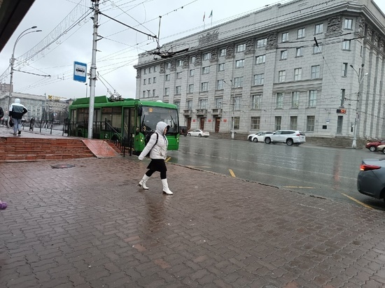 В Новосибирске 15 марта потеплеет до +3 градусов