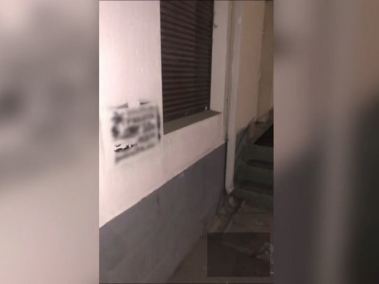 В Саратове задержали парней, разрисовывавших по ночам стены домов и магазинов