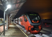 Начальник Департамента экономики Администрации Екатеринбурга Алексей Прядеин 3 марта на встрече с журналистами рассказал о системе наземного метро, так называемой городской электричке