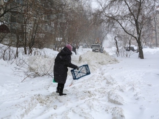 В Омске планируют построить снегоплавильную станцию в центре города