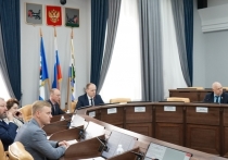 Дума Иркутска перераспределила средства депутатских фондов