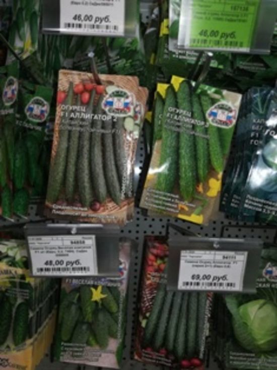 Семена сомнительных овощей выявлены в большом количестве в Кузбассе