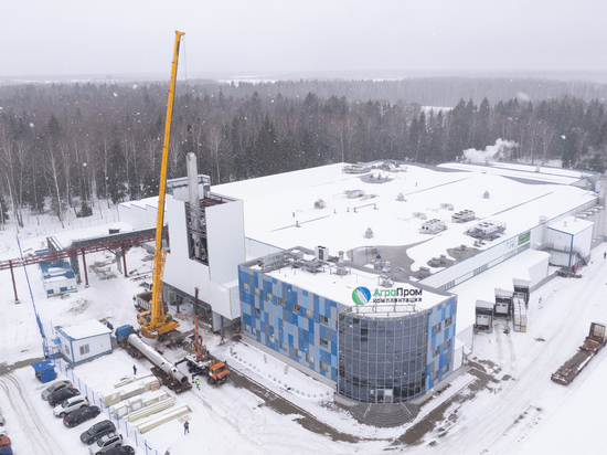 В Тверской области на Дмитрогорском молочном заводе будут делать 50 тонн творога в сутки